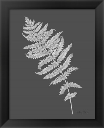 Framed Neutral Fern on grey I Print