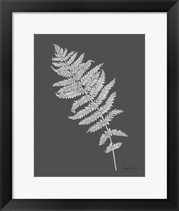 Framed Neutral Fern on grey I Print