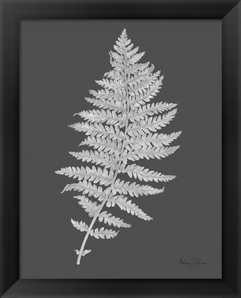 Framed Neutral Fern on grey II Print