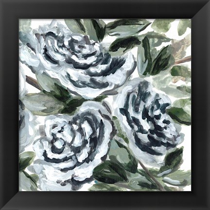 Framed Shadowed Blue Roses II Print