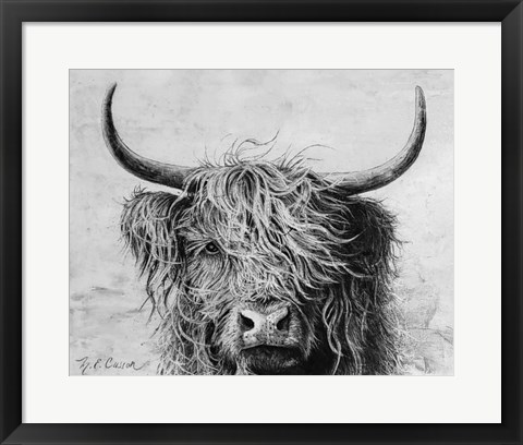 Framed Highland in the Wind I Print