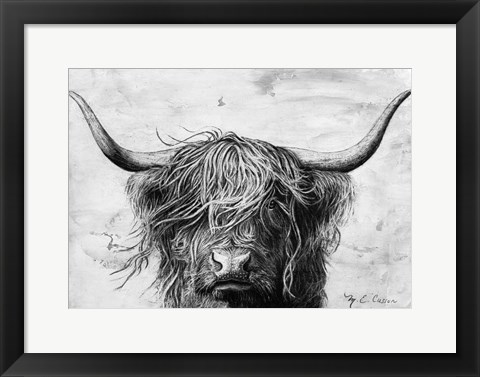 Framed Highland in the Wind II Print