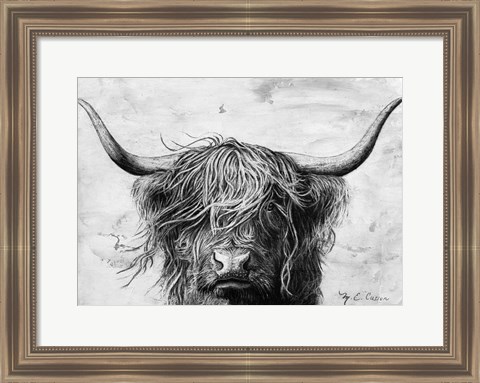 Framed Highland in the Wind II Print