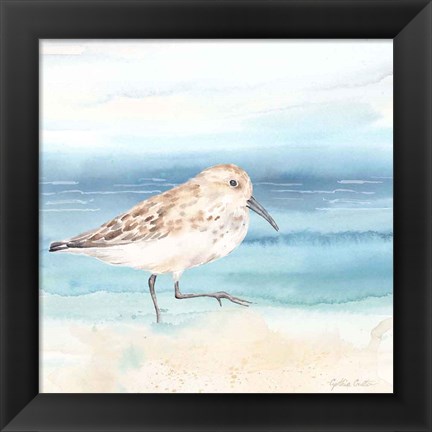 Framed By the Seashore XIII Print