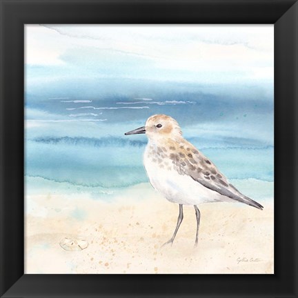 Framed By the Seashore XIV Print