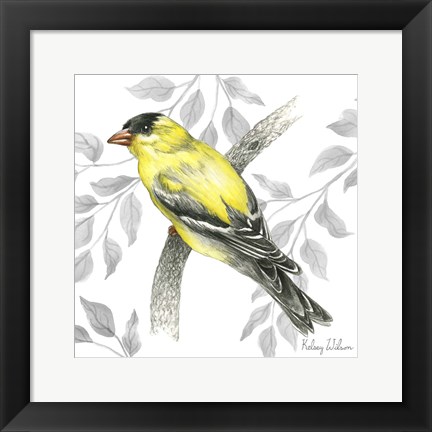 Framed Backyard Birds IV-Goldfinch II Print