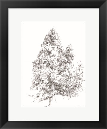 Framed Whispering Pines 1 Print