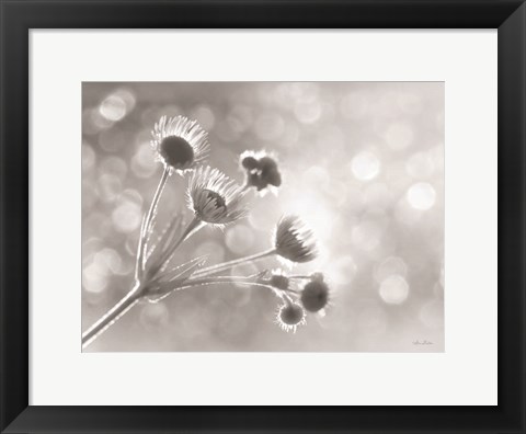 Framed Wild Flowers I Print