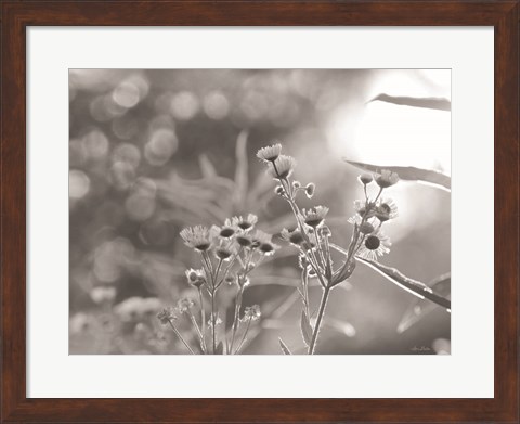 Framed Wild Flowers III Print