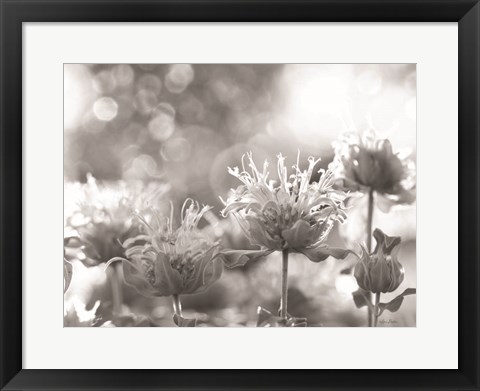 Framed Wild Flowers IV Print