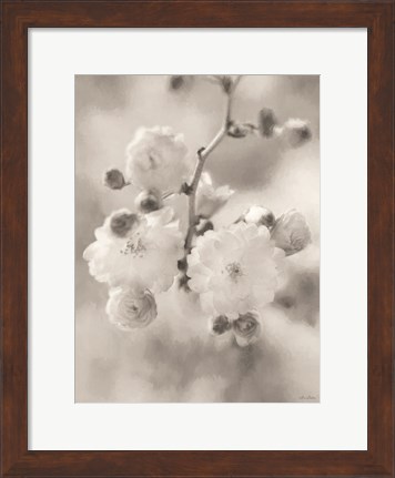 Framed Painted Blossoms I Print