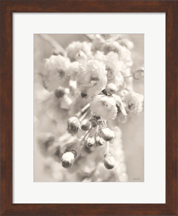 Framed Painted Blossoms II Print