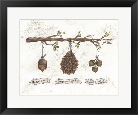 Framed Pinecone Acorn Study Print