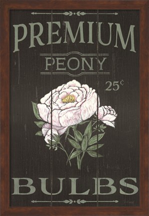 Framed Peony Blubs Print