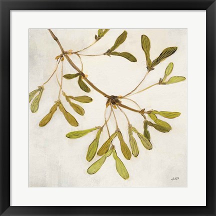 Framed Maple Branch Crop Print