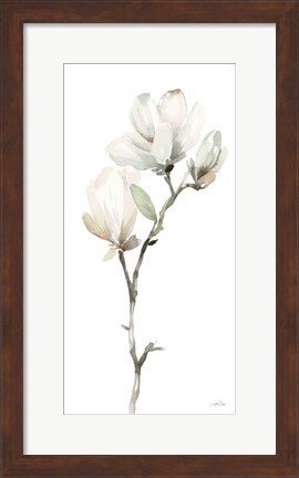 Framed White Magnolia II Print