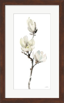 Framed White Magnolia I Print