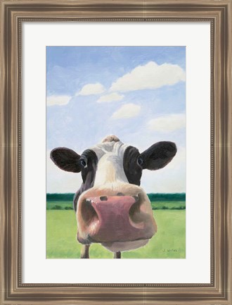 Framed Funny Cow Print