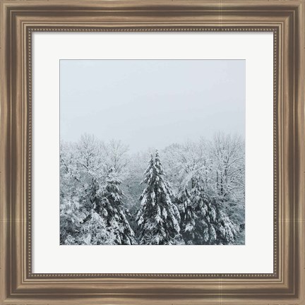 Framed Snowshoe Hill Deep Crop Print