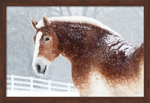 Framed Snowy Draft Horse Print