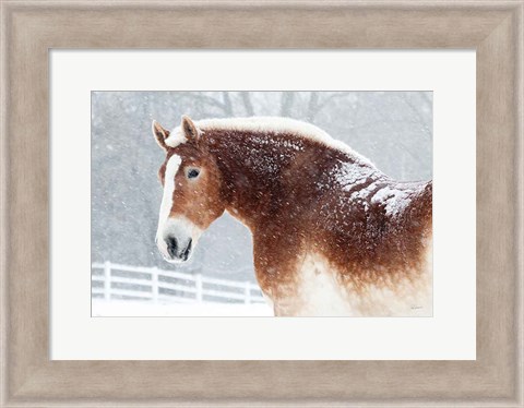 Framed Snowy Draft Horse Print