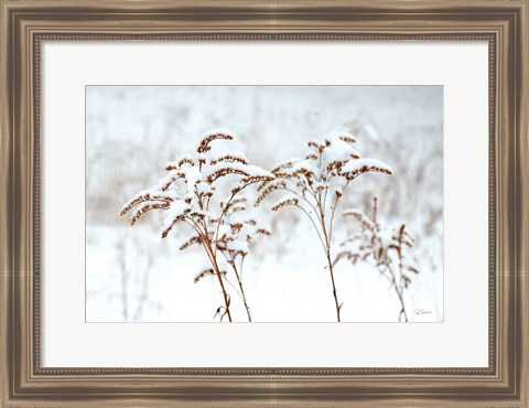 Framed Snowy Gardens Print