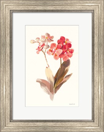 Framed Autumn Orchid II Print