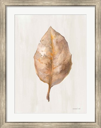 Framed Fallen Leaf II Texture Print