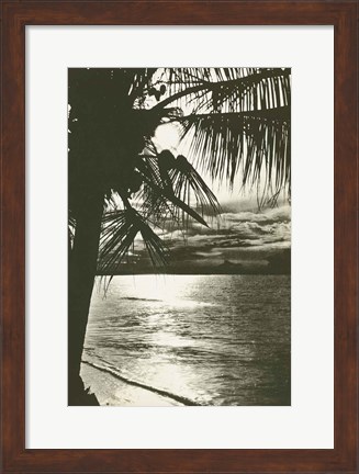 Framed Palm Beach II Print