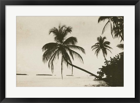 Framed Palm Beach I Print