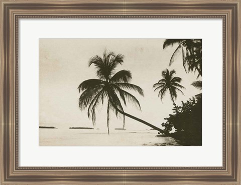 Framed Palm Beach I Print