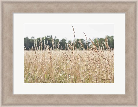 Framed Summer Field II Print