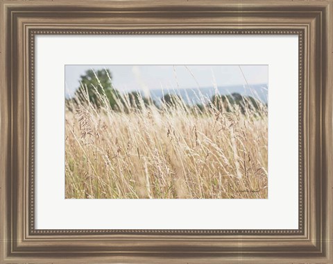 Framed Summer Field I Print