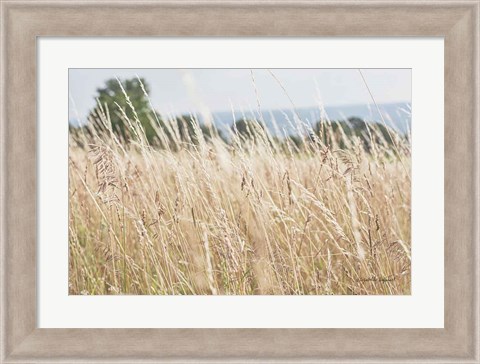 Framed Summer Field I Print