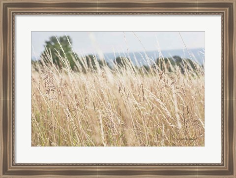 Framed Summer Field I Print