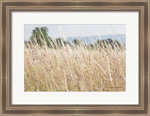 Framed Summer Field I Print