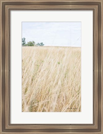 Framed On the Edge III Print