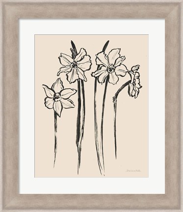 Framed Ink Sketch Daffodils Print