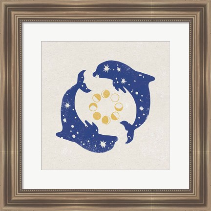 Framed Star Dolphins Print