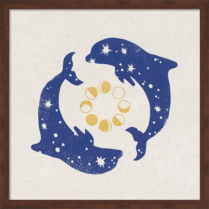 Framed Star Dolphins Print