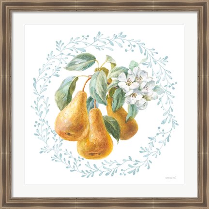 Framed Blooming Orchard IV Print