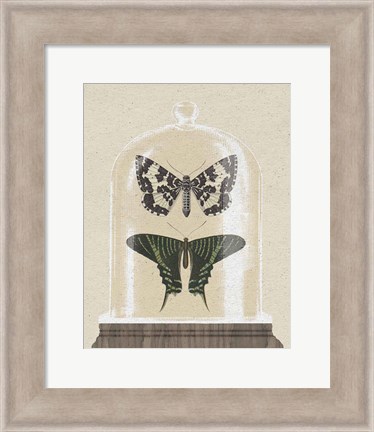 Framed Cottage Butterflies II Print