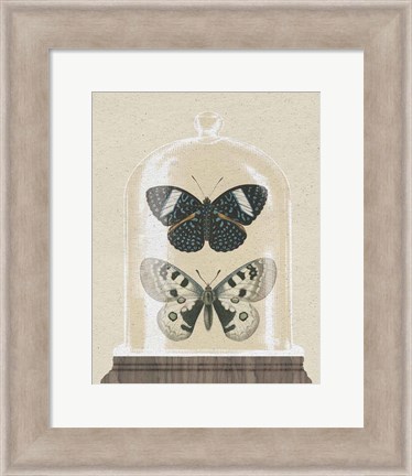 Framed Cottage Butterflies I Print