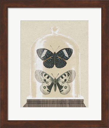 Framed Cottage Butterflies I Print