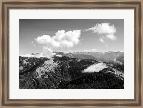 Framed Olympic Mountains II Print