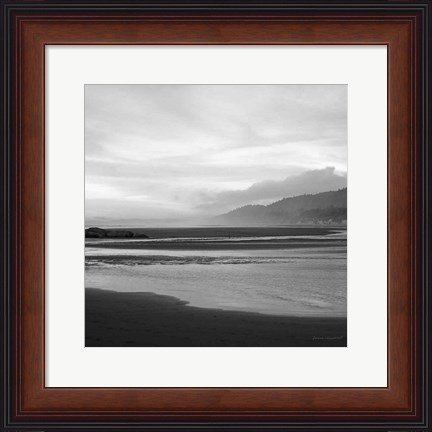 Framed Salt Creek IV Print