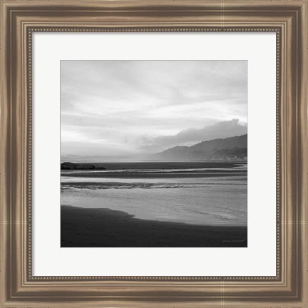 Framed Salt Creek IV Print