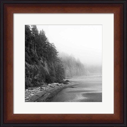 Framed Salt Creek III Print