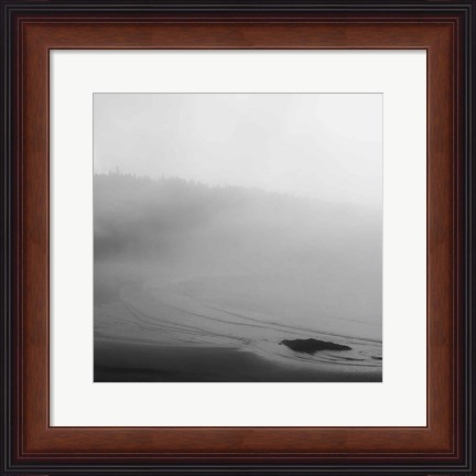 Framed Salt Creek II Print