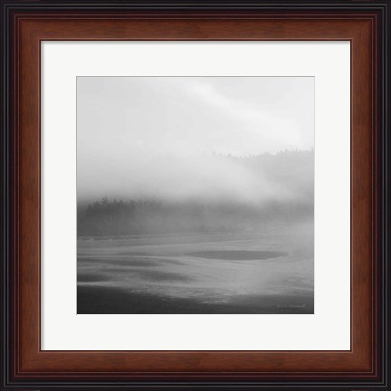 Framed Salt Creek I Print